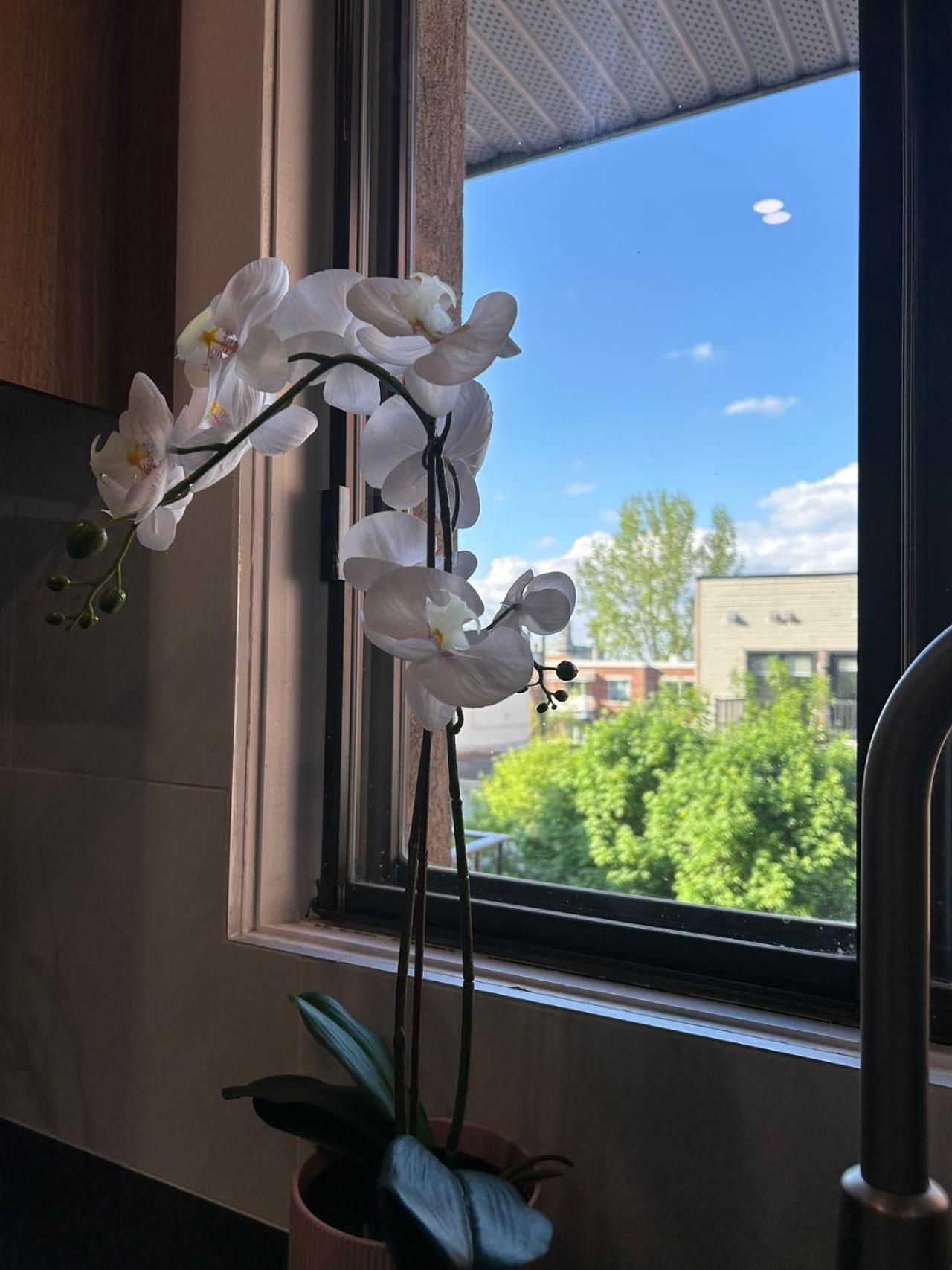 Orchid Lodgement 蒙特利尔 外观 照片